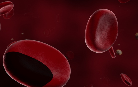 Артериальная кровь — это кровь, которая течет по артериям, а венозная — та, которая течет по венам