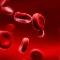 Что такое плазма крови ?