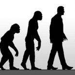Эволюция — это движение от худшего к лучшему
