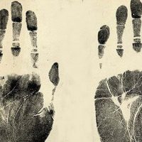 Интересные факты про отпечатки пальцев