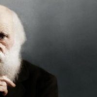 Как Англиканская церковь отреагировала на дарвиновскую теорию эволюции ?