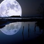 Как много Луны видно с Земли ?