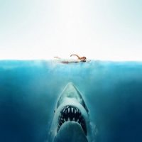 Откуда акула знает, что вы в воде ?