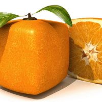 Какого цвета апельсины на самом деле ?
