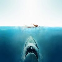 Откуда акула знает, что вы в воде ?