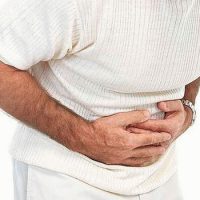 Стенки желудка нечувствительны к действию пищеварительных ферментов